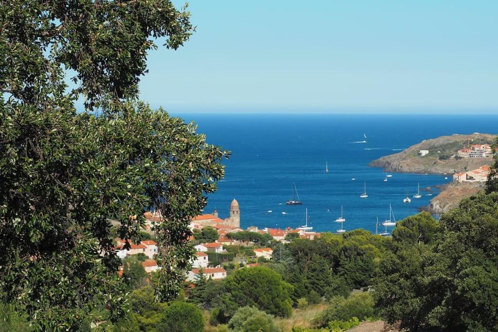 Villa Collioure Mar I Munt Kültér fotó